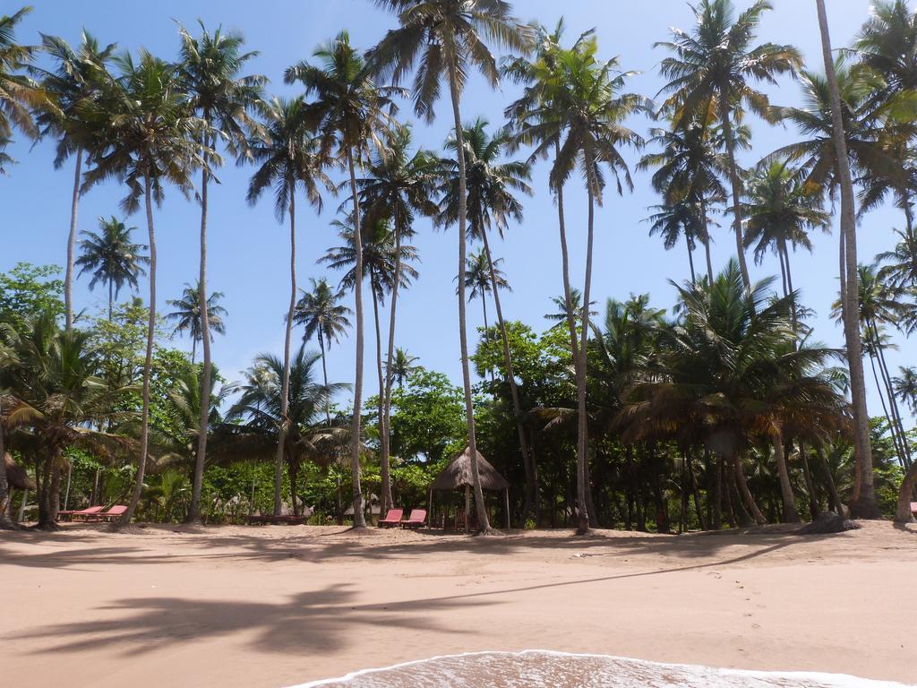 Ankobra Beach Resort Axim Bagian luar foto