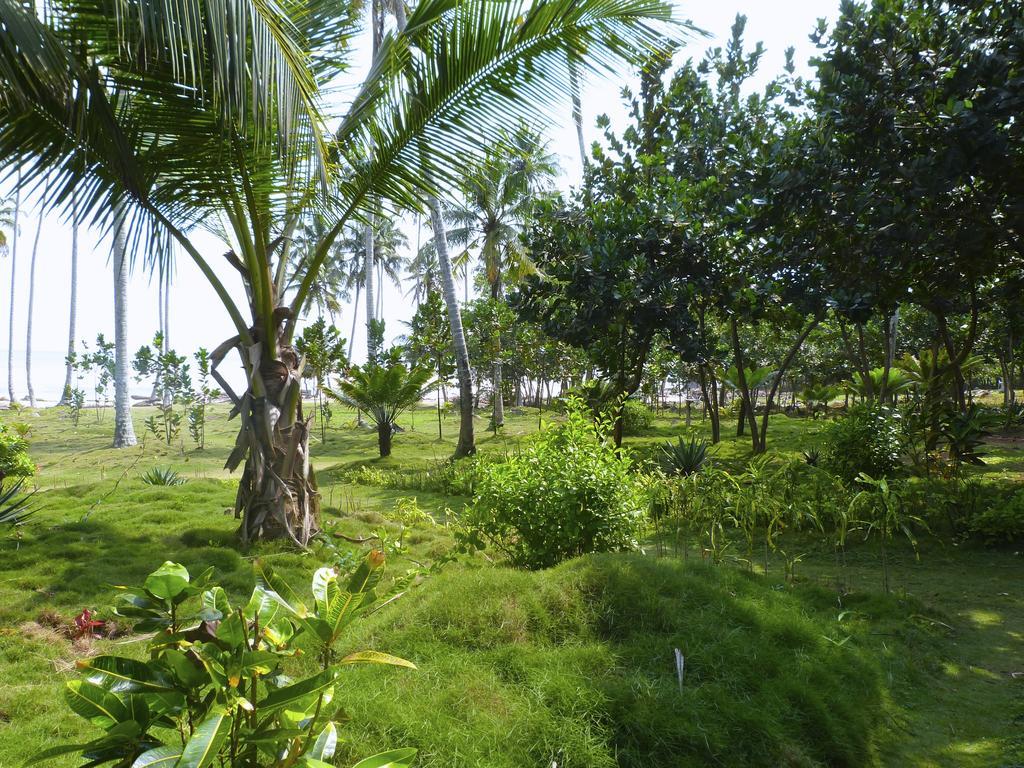 Ankobra Beach Resort Axim Bagian luar foto