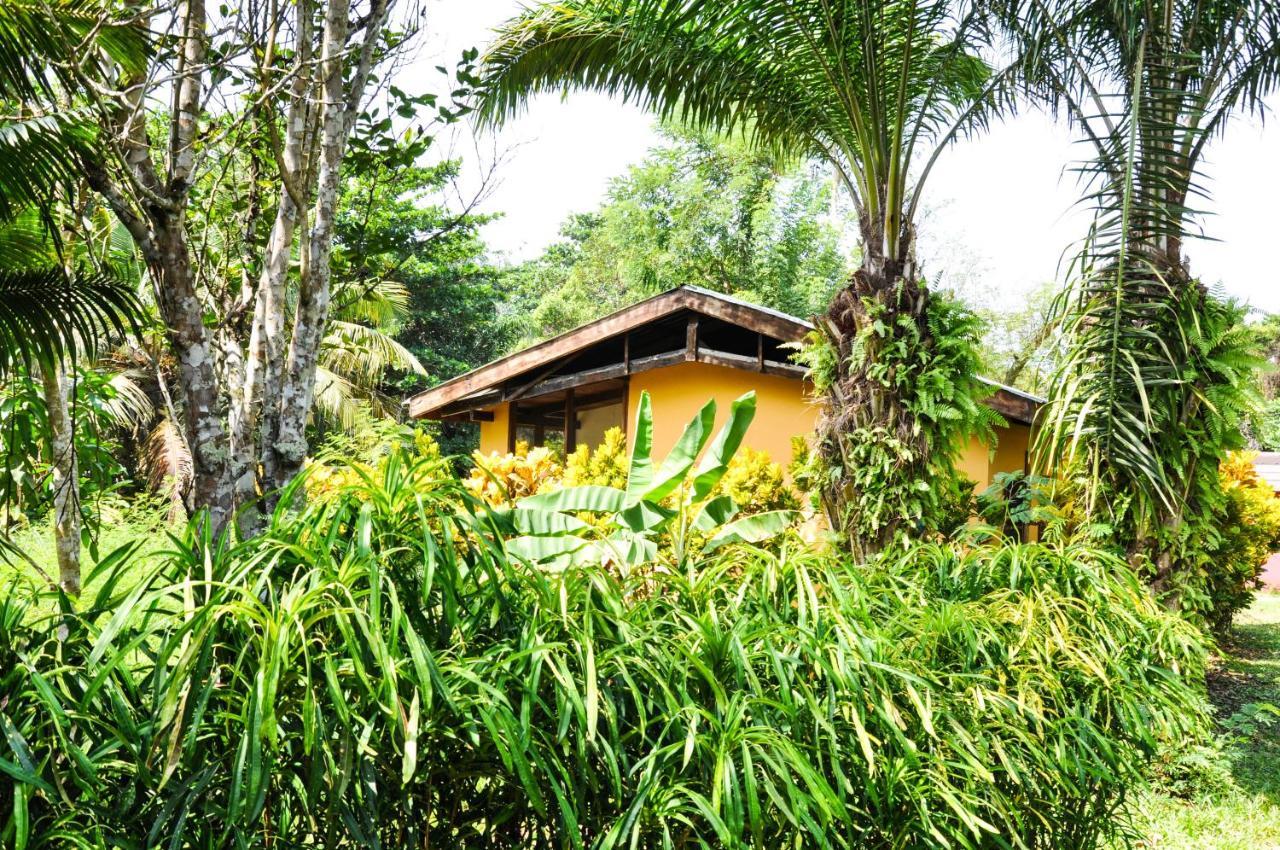 Ankobra Beach Resort Axim Ruang foto